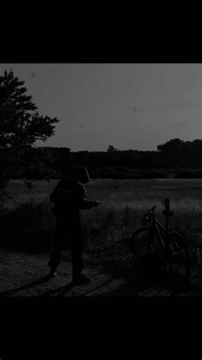 Reflexiones de Motivación y Disciplina para el Éxito