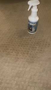 Update 1 hour later. 12/14 | My Pet Peed - Pet Urine Remover