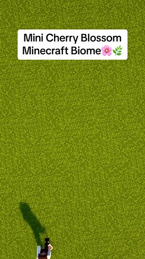 Mini Cherry Blossom Biome in Minecraft🌸🌿 #minecraft #minecraftbuilding #minecrafttutorial #minecraftbedrock #foryou