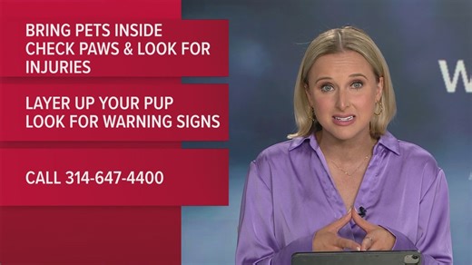 Keep your pups safe in extreme cold