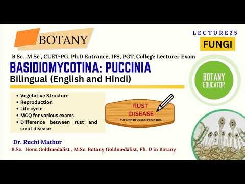 Puccinia fungi || Puccinia life cycle || Difference between rust and smut disease