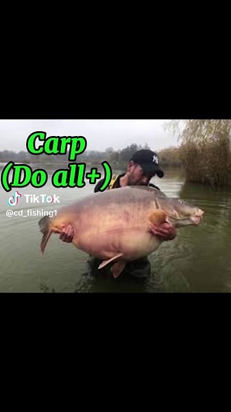 CD’s Fishing on TikTok