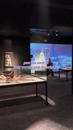 3K views | See the human body like never before at BODY WORLDS: Vital! This must-see exhibition features 20 full-body plastinates and over 150 real anatomical specimens, offering a rare glimpse inside the human form. Life-size plastinates in action Fascinating real human specimens Engaging multimedia displays Don’t just take our word for it—see it for yourself! Get your tickets today. | The Franklin Institute | Facebook