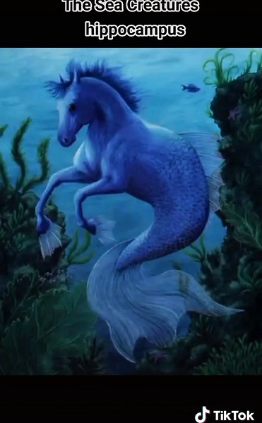 Kelechi Umeobika on TikTok