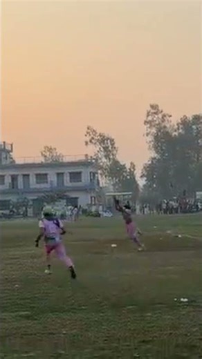 The Most INSANE Cricket Catch Ever