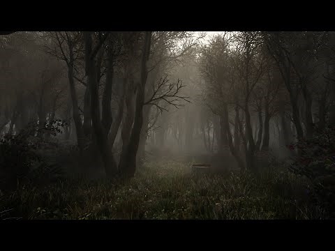 Skyrim Ultra Modded 4K : Photorealistic graphic | Pinnacle Reality ENB Vivid weather | Modlist