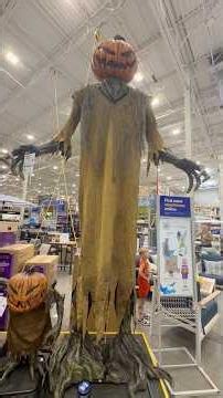 Halloween Decorations