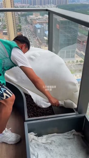 How I Designed a Flowing Water Space on My Balcony