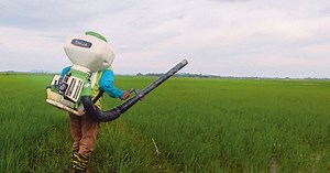 Amendment to Plant Varieties Act may raise costs, warns farmers' group | New Straits Times