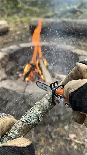 Keychain STIHL vs Small Forest Branch (Ultra Realistic Cut)