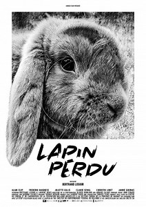 Lapin Perdu (Film, 2020) - MovieMeter.nl