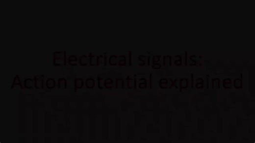 #neurotoons #actionpotential #neuroscienceforkids #cartoonlearning | Neuro-toons