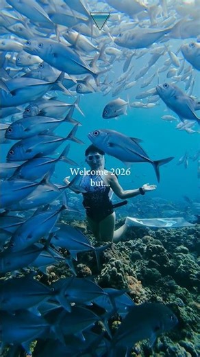 Azul Freediving 2025 Recap