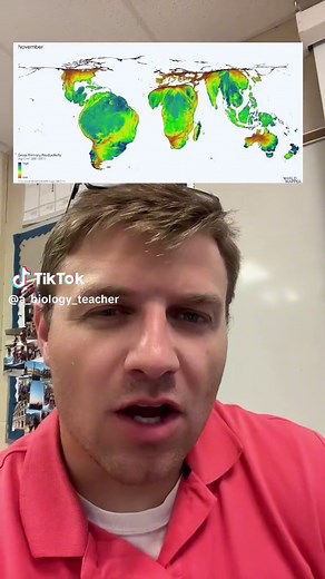 Understanding Gross Primary Production in Ecology