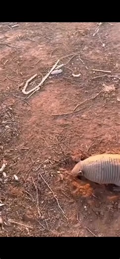 حسابات مقترحة