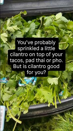 Health benefits of cilantro.