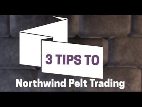 NORTHWIND | Pelt Guide #1