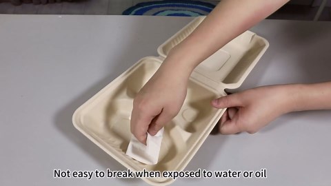 Aricsen 50 Pack 3 Compartment Compostable 8x9 Inch Takeout Lunch Box Containers with Lid To Go Take Out Clamshell for Food, Disposable Eco-Friendly Biodegradable Bagasse, PFAS-Free, Brown