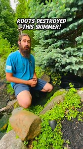 5.2K views · 35 reactions | This skimmer had actual roots growing in it  When your pond equipment becomes part of the landscape… it’s time for a replacement. A new skimmer keeps things clean, flowing, and root-free | I Love Ponds.com | Facebook