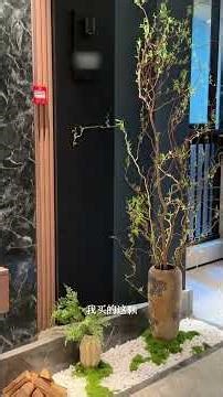 Luxury Elevator Hall Transformation: Private Entrance Unveiled