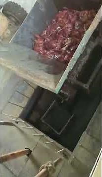 Animal carcass shredder