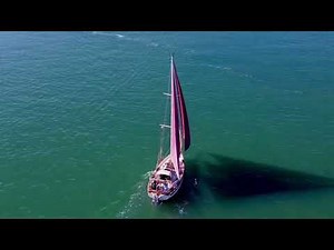 A Seagull’s View of the Bristol Channel Cutter, Odyssey
