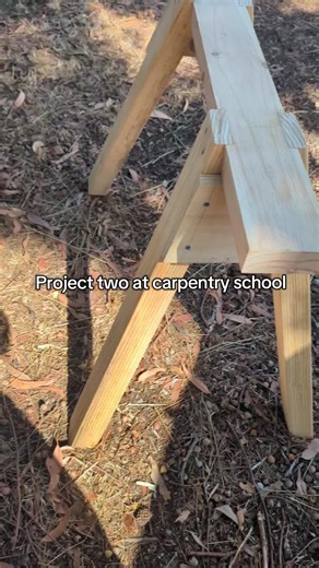 Female Carpenter Journey: Embracing Apprenticeship Skills