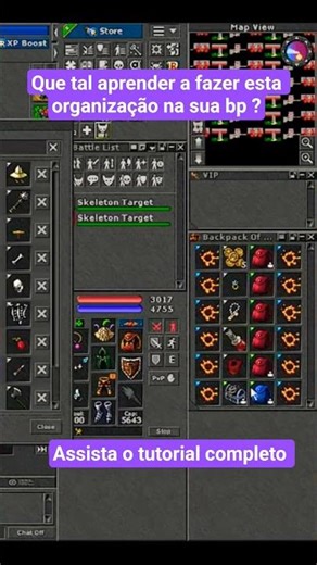 Tutorial: Functional Organization of Backpacks in Tibia/Rubinot