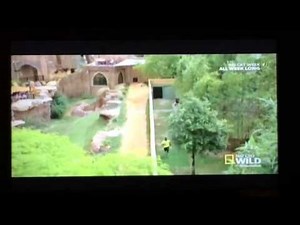 Devin Hester races against cheetah