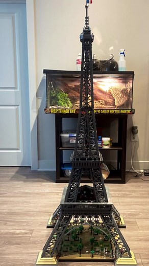 tevinryles on TikTok