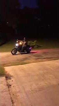 Screamin Eagle 259E Cams