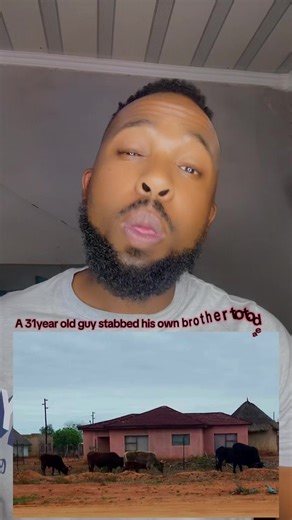 31-Year-Old Guy Stabs Brother to Death