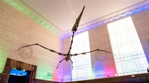 Families enjoy free museum Sundays, explore Texas history from dinosaurs to wildlife