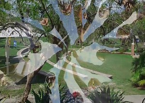 Florida Institute of Technology: Fees, Reviews, Rankings, Courses & Contact info