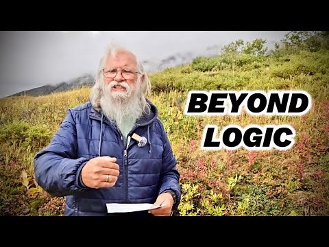 Why Your Gut Is Smarter Than Your Brain | Einstein’s Insight | September 9th