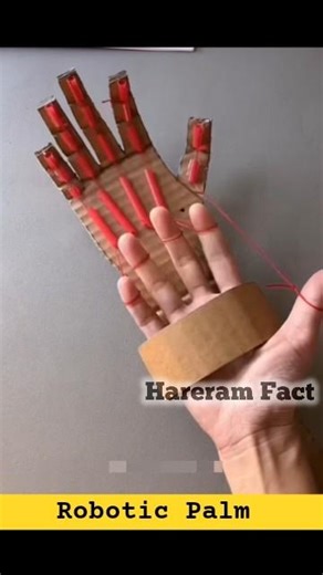 How To Make a Robotic Palm At Home । Cardboard Craft That You Must Try! 😵