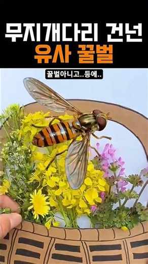 꽃바구니 만들기 레전드 ㄷㄷ 꿀벌인 줄 알았는데 등에였다고? #art