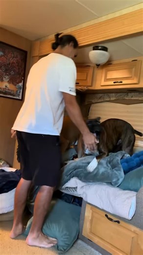 How you pet a boxer. #boxerdogs | Amber Suedmeyer Martens