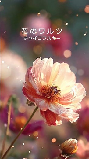 チャイコフスキー「花のワルツ」｜名曲ダイジェスト｜Waltz of the Flowers