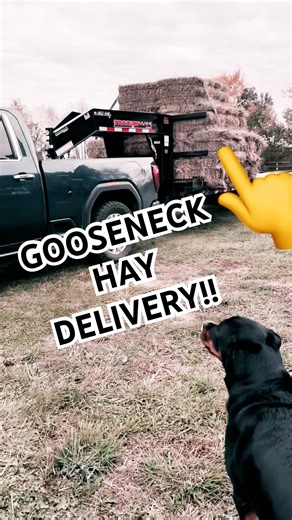 GOOSENECK DELIVERS The HAY In STYLE!