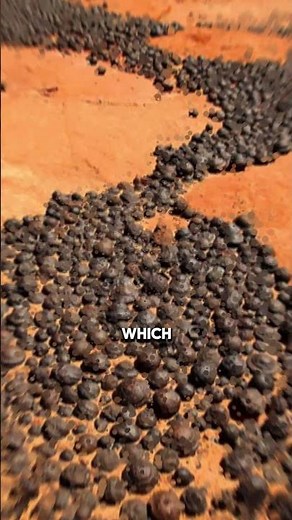 Mind-Blowing MARS Facts You Must Know