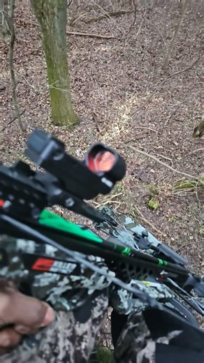 Killer Instinct Ripper 415! #Killer Instinct. Deer hunting.