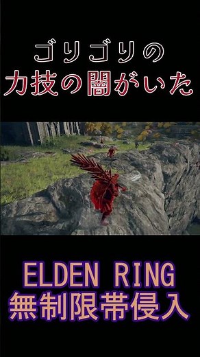 エルデンリング 地獄の侵入 ゴリゴリの力技の闇がいた！ ELDEN RINGDLC #elden #eldenringdlc #ダクソ3