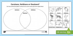 Animals from African Countries Omnivore, Carnivore or Herbivore Venn Diagram Sorting Worksheet