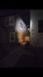 Night hawking pigeons for some clients. Our excitement was enough audio for the video. | Desert Kings Falconry