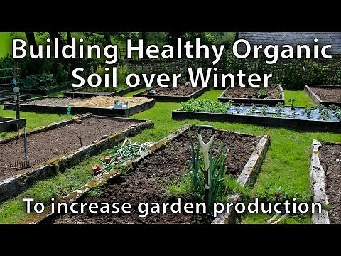 How to Build Soil over Winter Ready for Spring to Grow Amazing Vegetables