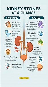KIDNEY STONES AT A GLANCE #60plusrevive #wellnesstips #kidneyhealth #kidneystones