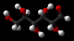 Carbohydrates | Monosaccharides | Polysaccharides - PMF IAS