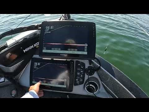 Garmin Livescope XR Transducer vs. Livescope LVS34