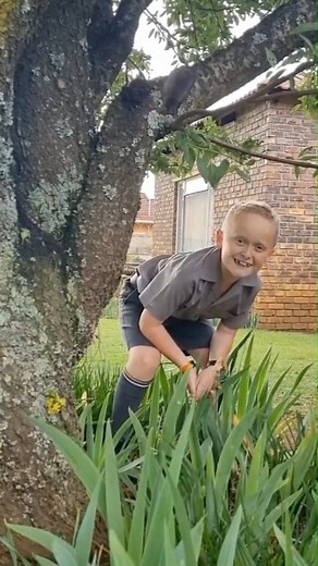 Ready, set, school! Enter our Back-to-School competition and make every step count with Hush Puppies. Hush Puppies - for the puppies🐾 #Hushpuppiessa #Hushpuppiesbacktoschool #Schoolshoes #school #comfort #memoryfoamfootbed #SchoolReady #StepIntoSchool #SchoolDaysAhead | Hush Puppies South Africa